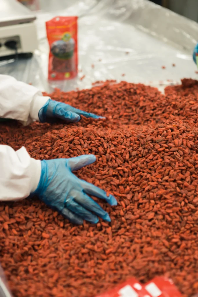 Persona manejando granos con guantes